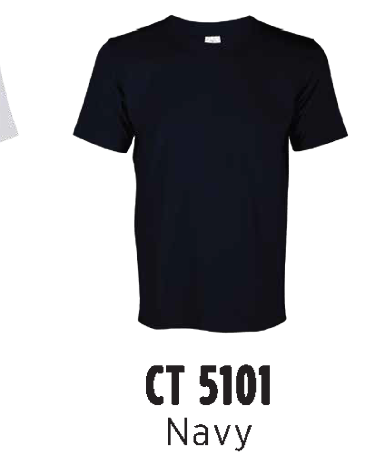CT5101
